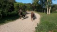 /album/travail-du-09-09-15/a2015-09-09-10-18-15-jpg/
